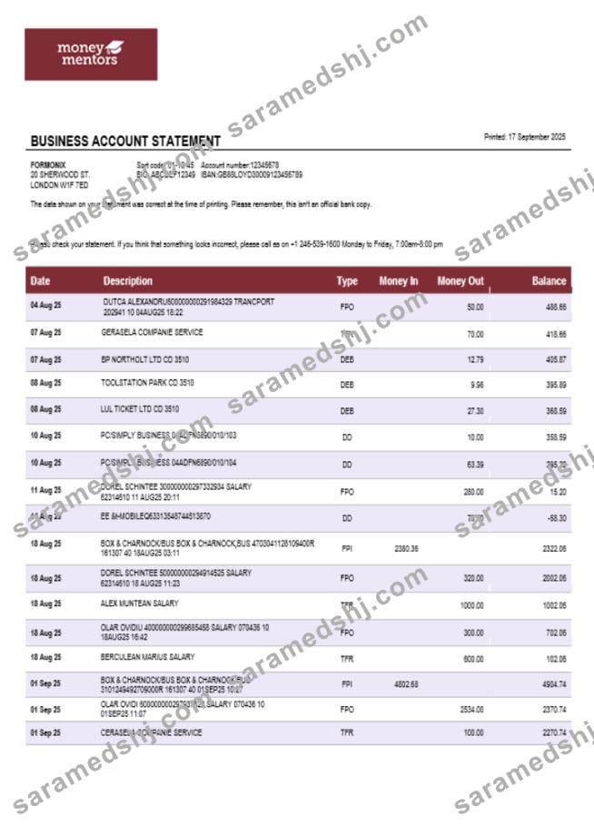Canadian Money Mentors (MM) business organization checking  statement Word and PDF format